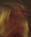 Spirit Photo